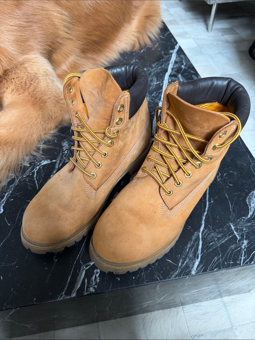 Timberland - Men's Tan Lace-Up Work Boots Suede